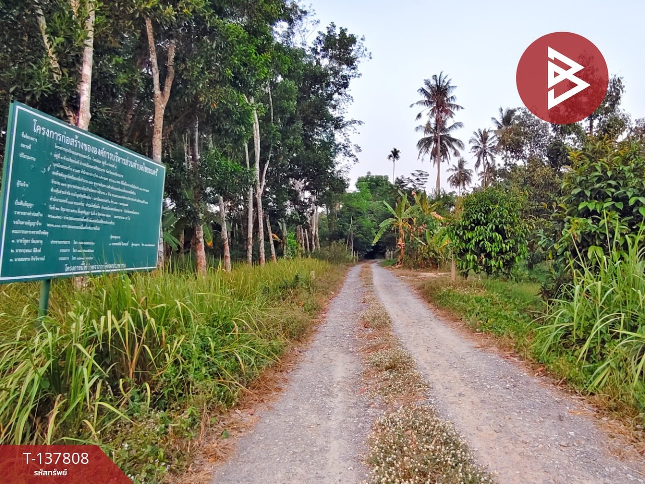 ขายที่ดิน เนื้อที่ 1 ไร่ 2 งาน ติดถนนไชยมนตรี นครศรีธรรมราช ใกล้โรงเรียนหนองบัว 5