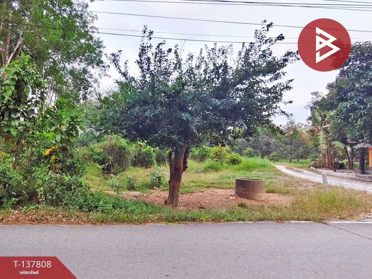 ขายที่ดิน เนื้อที่ 1 ไร่ 2 งาน ติดถนนไชยมนตรี นครศรีธรรมราช ใกล้โรงเรียนหนองบัว 7