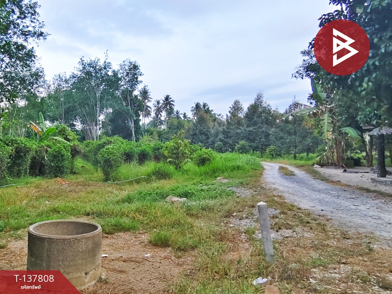 ขายที่ดิน เนื้อที่ 1 ไร่ 2 งาน ติดถนนไชยมนตรี นครศรีธรรมราช ใกล้โรงเรียนหนองบัว 1