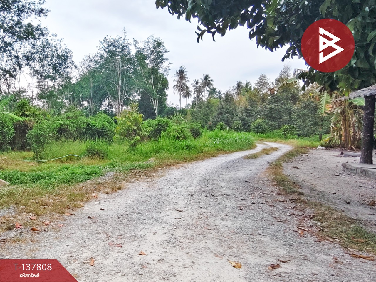 ขายที่ดิน เนื้อที่ 1 ไร่ 2 งาน ติดถนนไชยมนตรี นครศรีธรรมราช ใกล้โรงเรียนหนองบัว 4