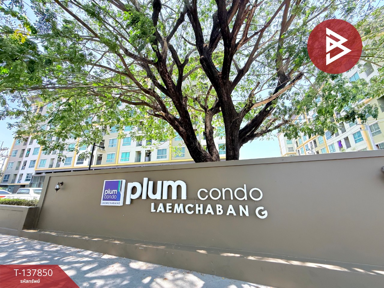 ขายคอนโด โครงการพลัม คอนโด แหลมฉบัง (Plum Condo Laemchabang) ศรีราชา ชลบุรี 13