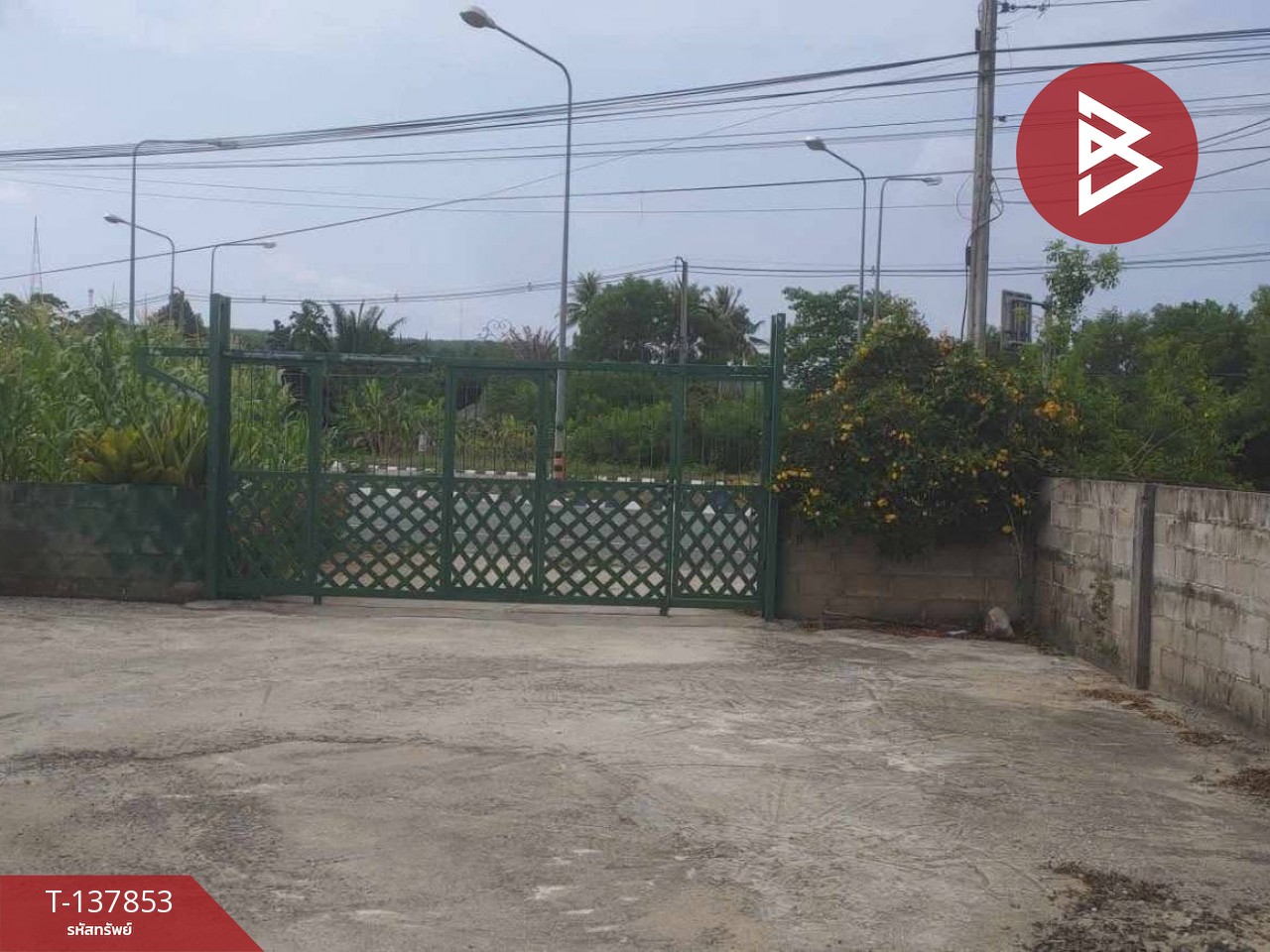 ขายบ้านเดี่ยว เนื้อที่ 2 งาน 69.7 ตารางวา นาชะอัง ชุมพร ทำเลทองใจกลางเมือง 3