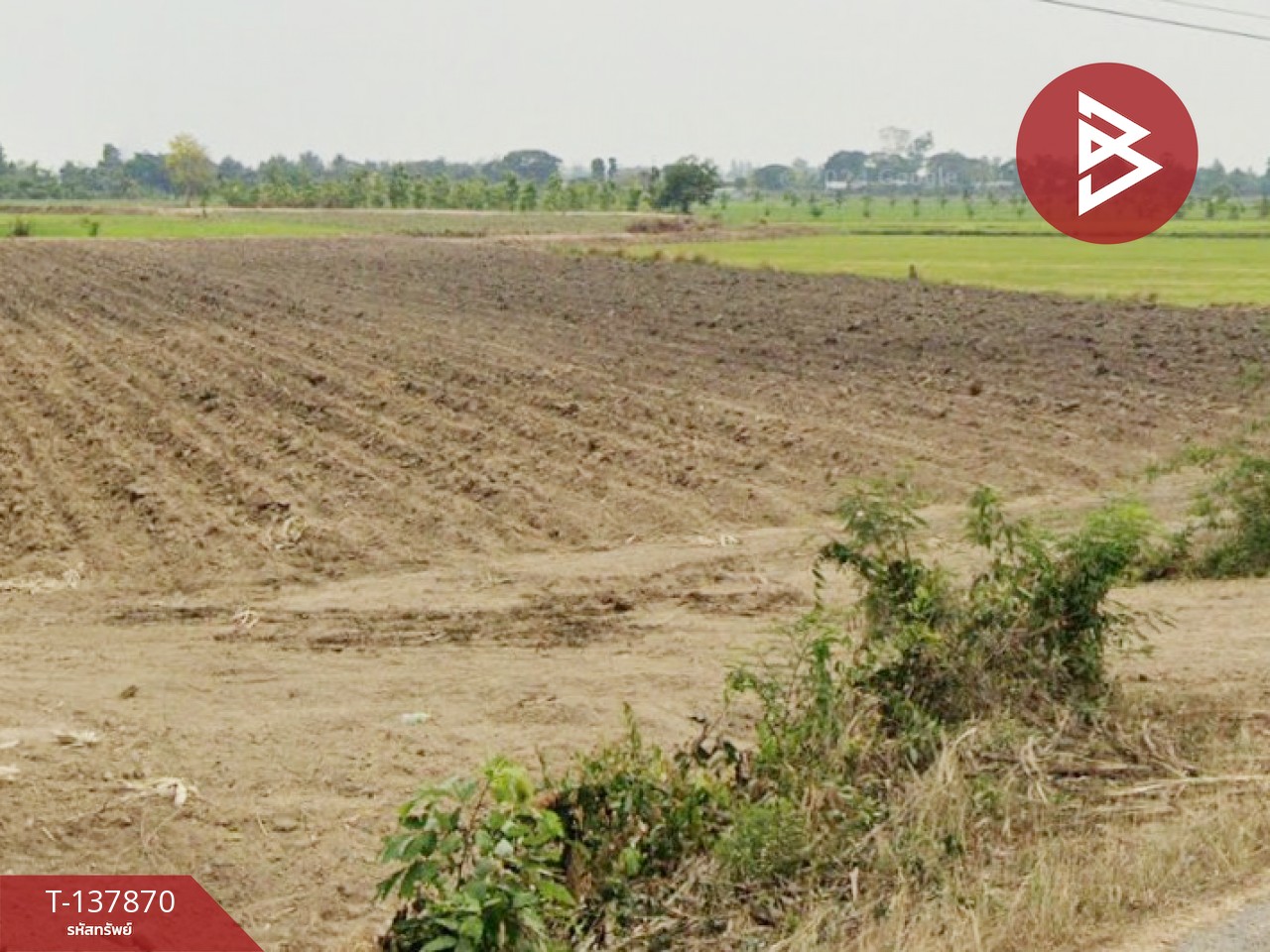 ขายที่ดิน เนื้อที่ 5 ไร่ 2 งาน 80.7 ตร.วา พนมทวน กาญจนบุรี 1