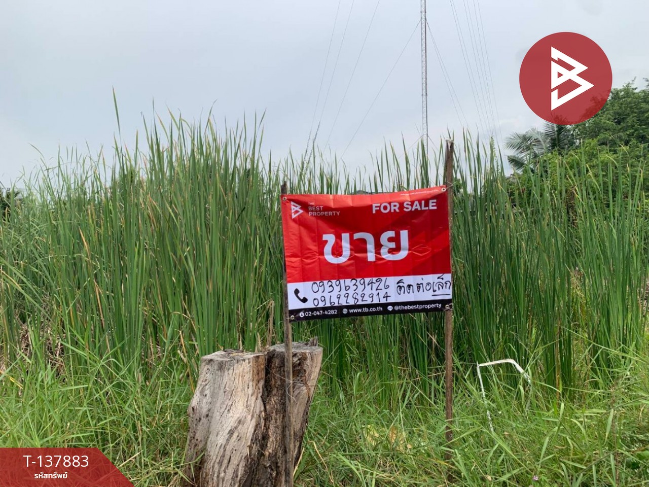 ขายที่ดิน เนื้อที่ 1 งาน 5.4 ตร.วา หนองจอก กรุงเทพมหานคร 1