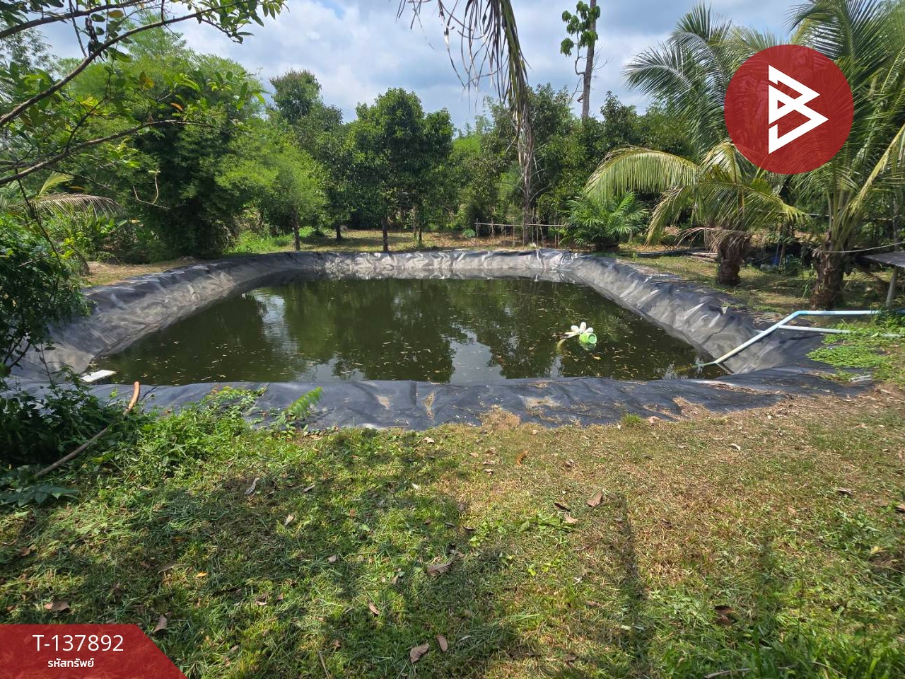 ขายที่ดิน เนื้อที่ 9 ไร่ 2 งาน 85.5 ตร.วา ท่าใหม่ จันทบุรี 2