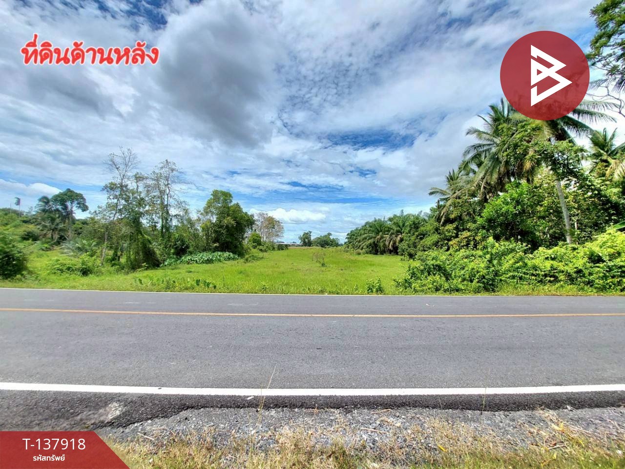 ขายที่ดิน เนื้อที่ 9 ไร่ 1 งาน 93.2 ตร.วา นาทราย นครศรีธรรมราช 4