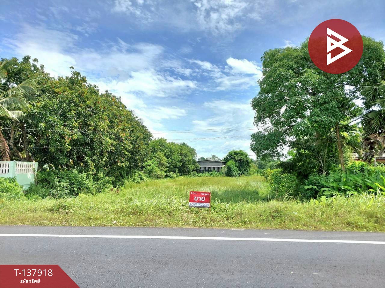 ขายที่ดิน เนื้อที่ 9 ไร่ 1 งาน 93.2 ตร.วา นาทราย นครศรีธรรมราช 1