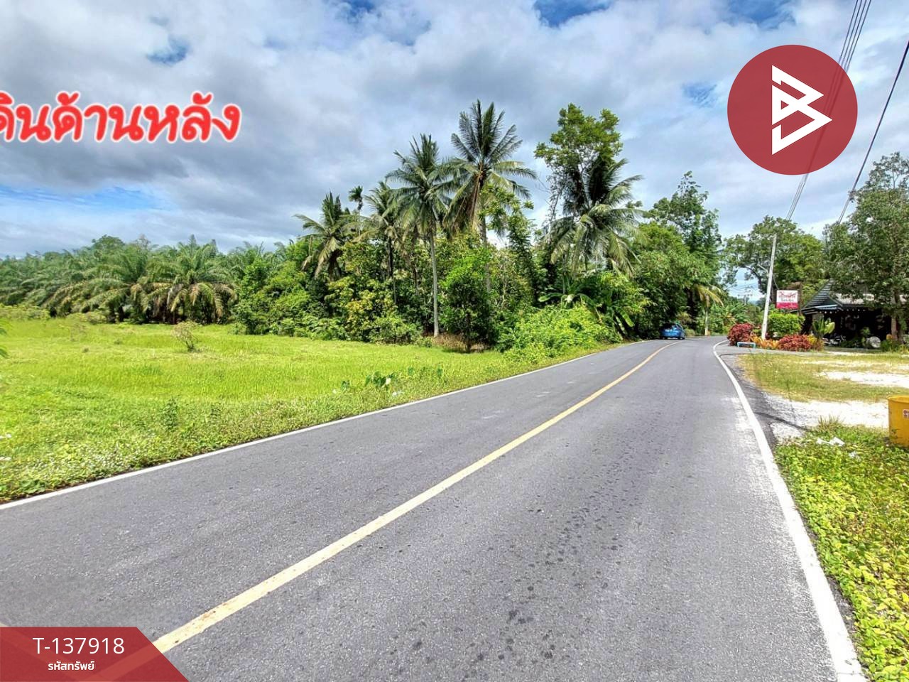 ขายที่ดิน เนื้อที่ 9 ไร่ 1 งาน 93.2 ตร.วา นาทราย นครศรีธรรมราช 5