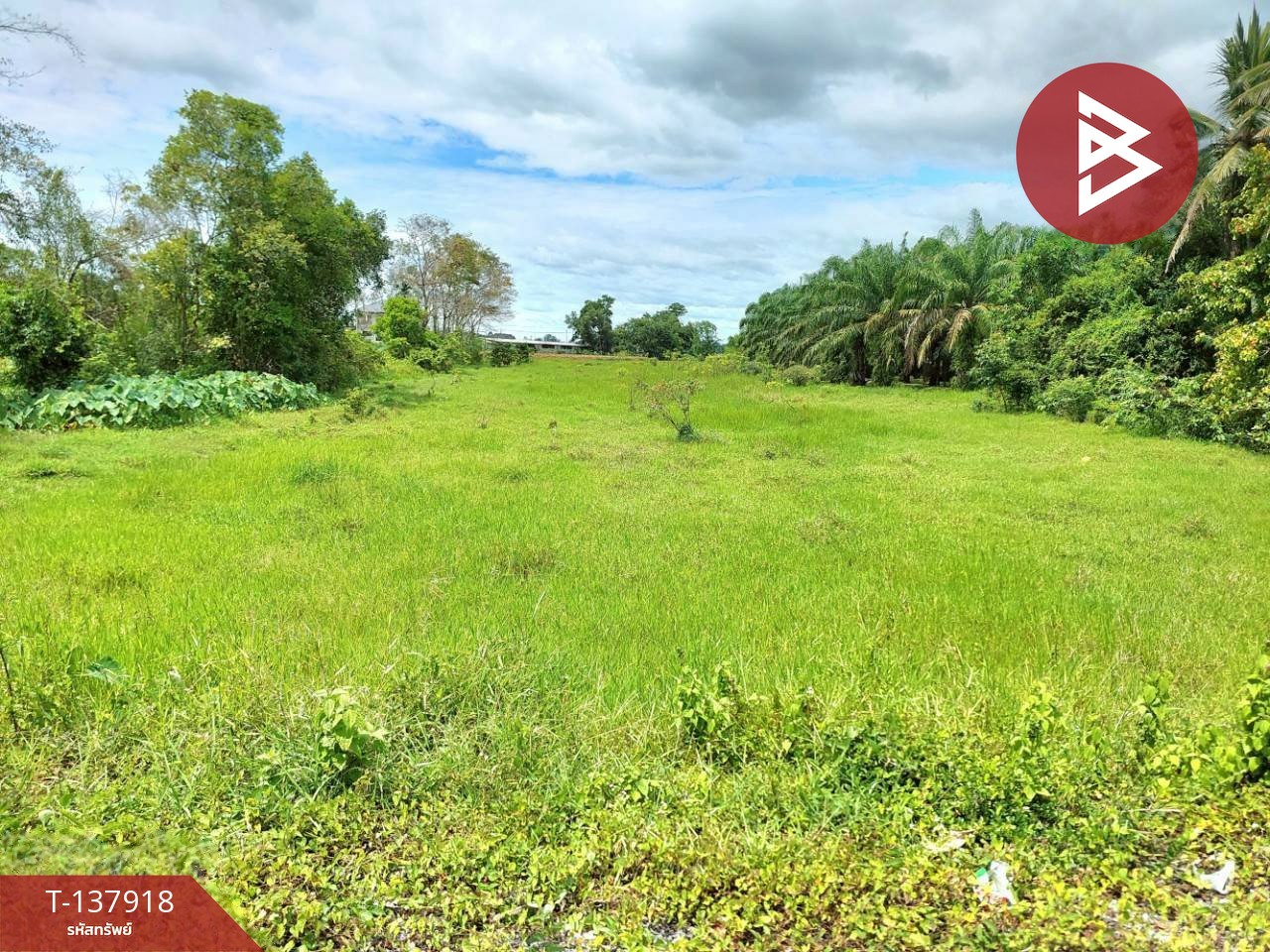 ขายที่ดิน เนื้อที่ 9 ไร่ 1 งาน 93.2 ตร.วา นาทราย นครศรีธรรมราช 2