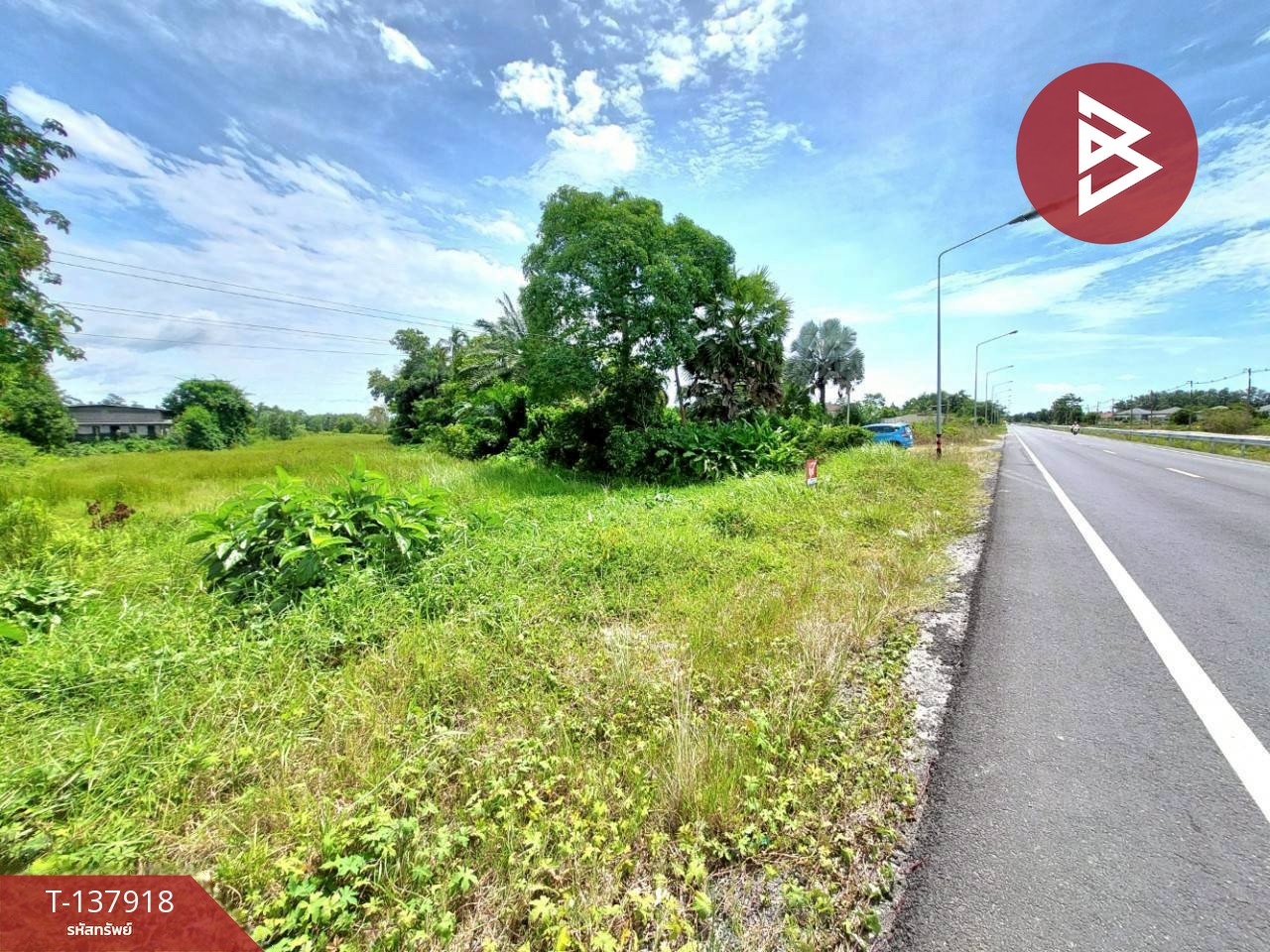 ขายที่ดิน เนื้อที่ 9 ไร่ 1 งาน 93.2 ตร.วา นาทราย นครศรีธรรมราช 3