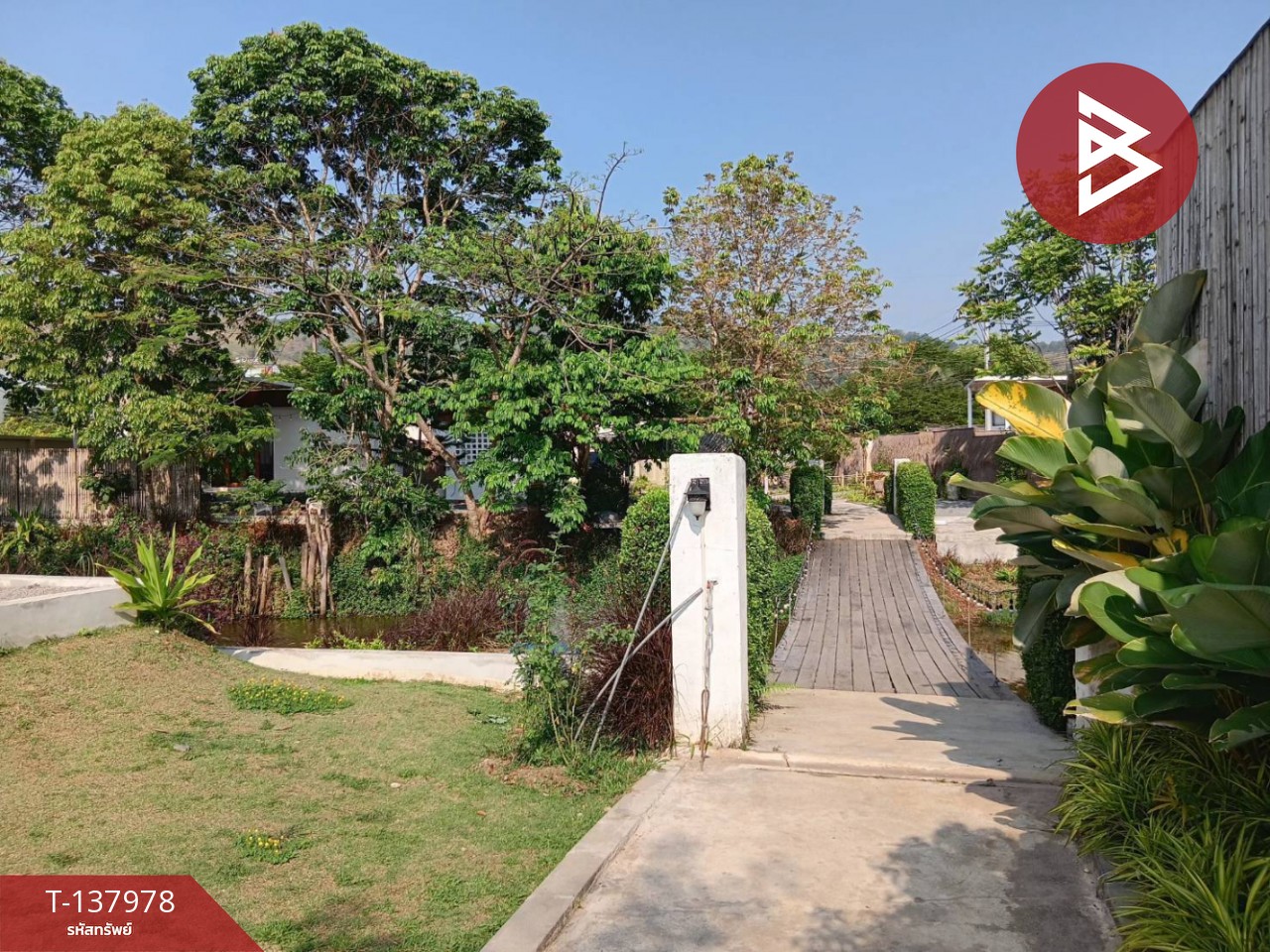 ขายที่ดินพร้อมสิ่งปลูกสร้าง เนื้อที่ 1 ไร่ 92 ตร.วา เขาค้อ เพชรบูรณ์ 14