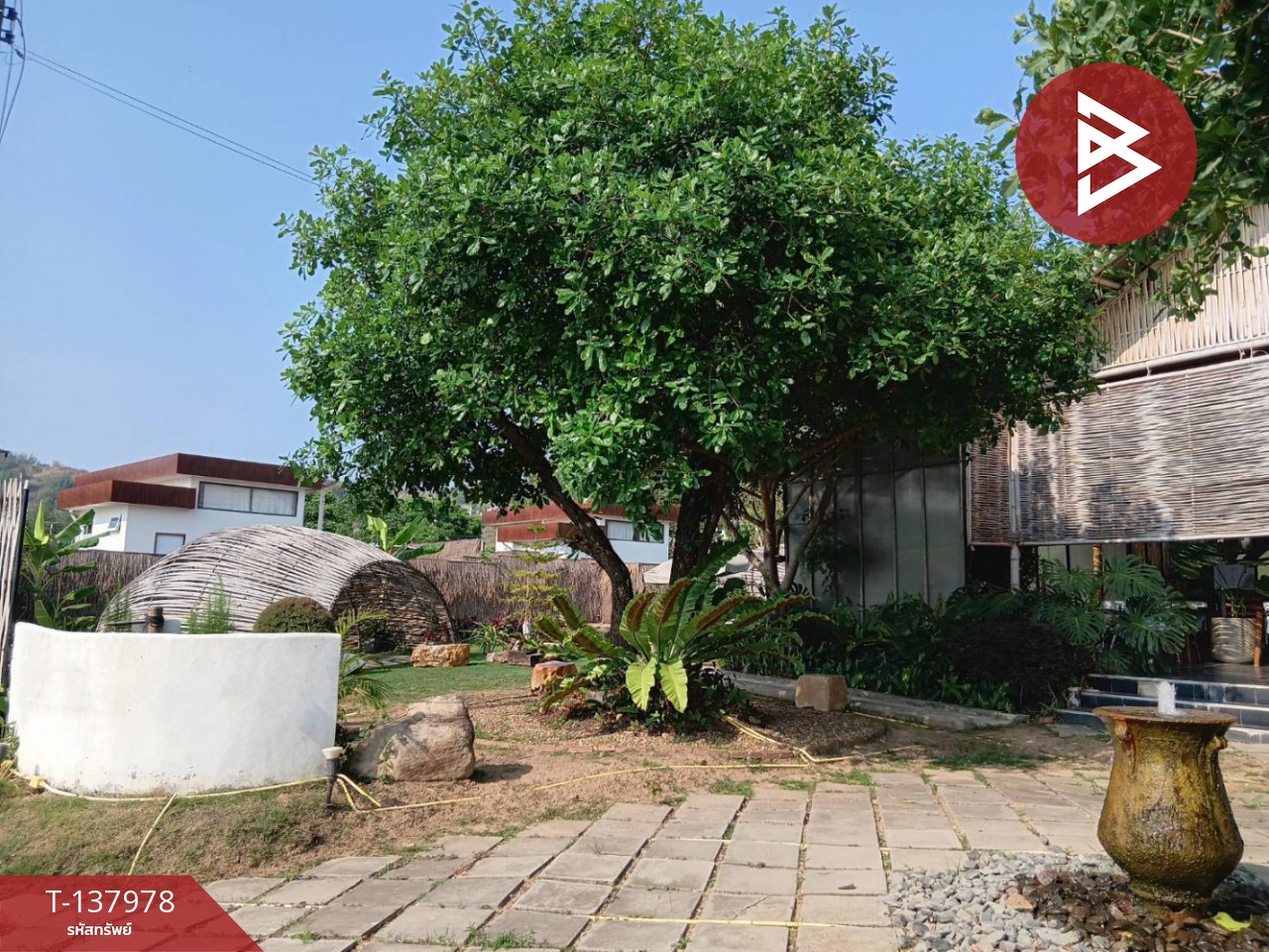 ขายที่ดินพร้อมสิ่งปลูกสร้าง เนื้อที่ 1 ไร่ 92 ตร.วา เขาค้อ เพชรบูรณ์ 4