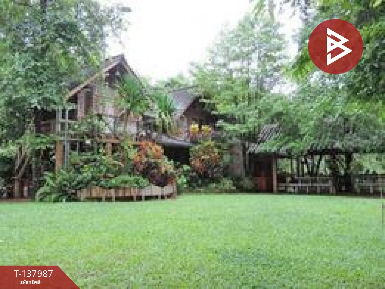 ขายที่ดินสวนผลไม้ พร้อมบ้านพัก 7 หลัง เนื้อที่ 20 ไร่ 1 งาน 50.6 ตารางวา ท่าใหม่ จันทบุรี 13