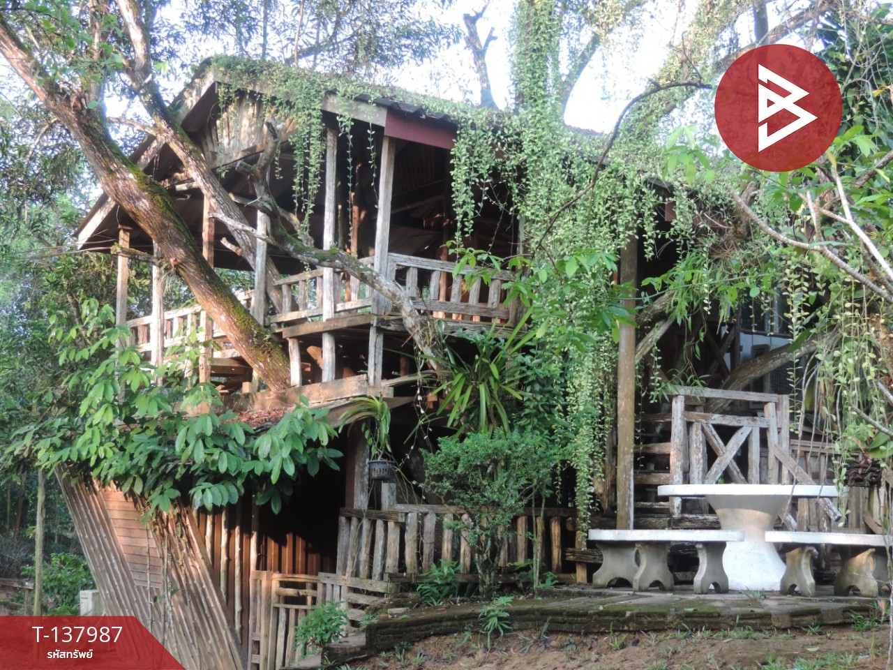 ขายที่ดินสวนผลไม้ พร้อมบ้านพัก 7 หลัง เนื้อที่ 20 ไร่ 1 งาน 50.6 ตารางวา ท่าใหม่ จันทบุรี 11