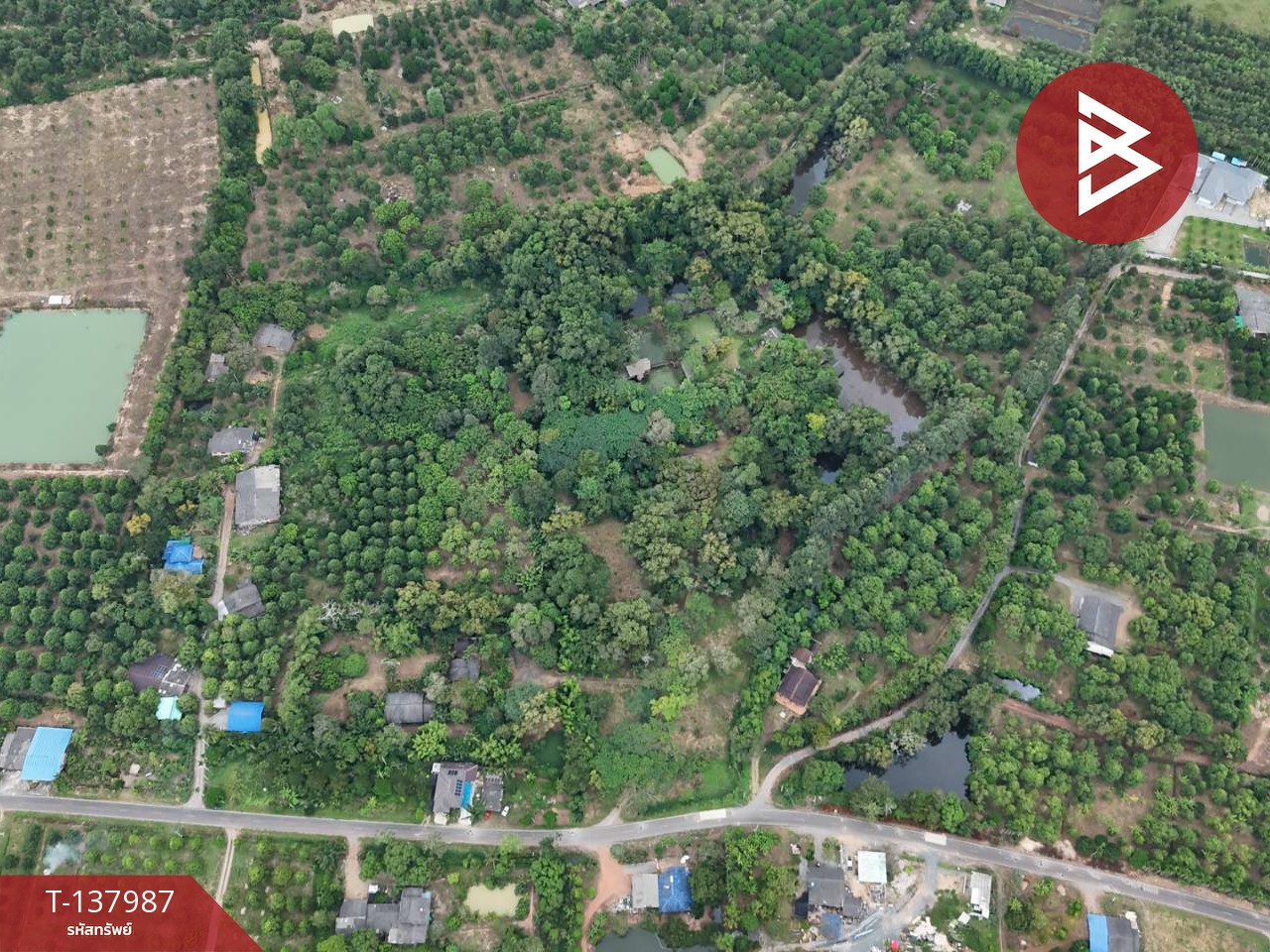 ขายที่ดินสวนผลไม้ พร้อมบ้านพัก 7 หลัง เนื้อที่ 20 ไร่ 1 งาน 50.6 ตารางวา ท่าใหม่ จันทบุรี 2