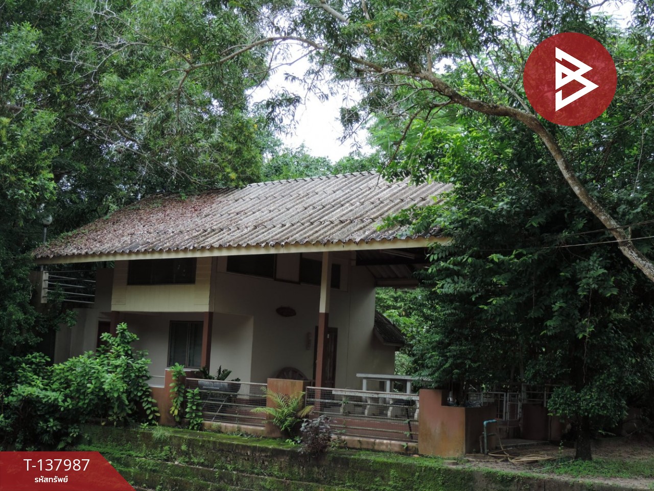 ขายที่ดินสวนผลไม้ พร้อมบ้านพัก 7 หลัง เนื้อที่ 20 ไร่ 1 งาน 50.6 ตารางวา ท่าใหม่ จันทบุรี 9