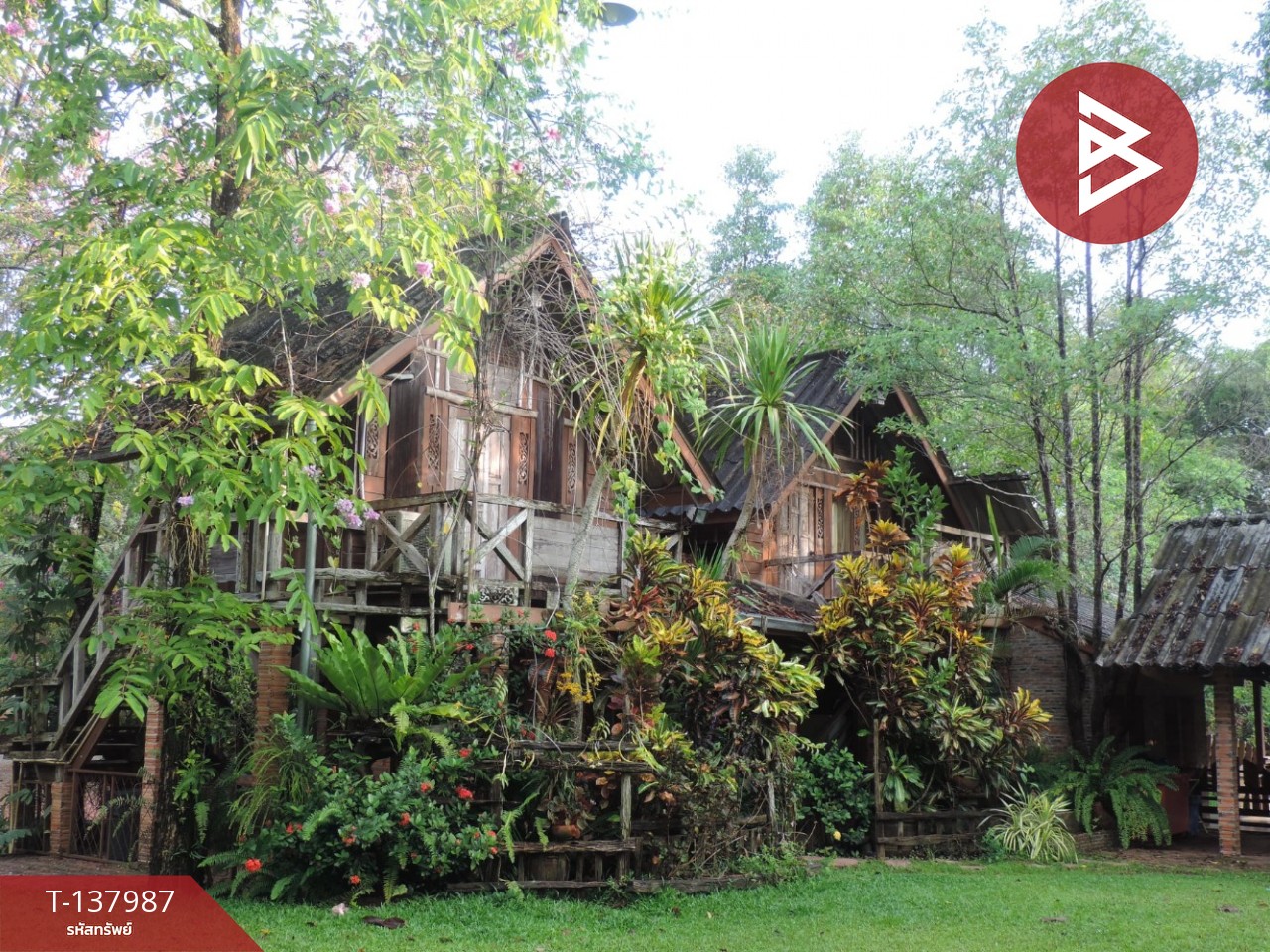 ขายที่ดินสวนผลไม้ พร้อมบ้านพัก 7 หลัง เนื้อที่ 20 ไร่ 1 งาน 50.6 ตารางวา ท่าใหม่ จันทบุรี 12