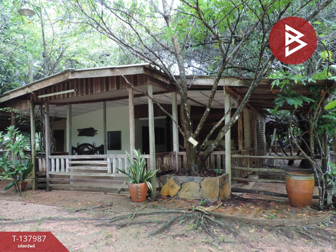 ขายที่ดินสวนผลไม้ พร้อมบ้านพัก 7 หลัง เนื้อที่ 20 ไร่ 1 งาน 50.6 ตารางวา ท่าใหม่ จันทบุรี 10