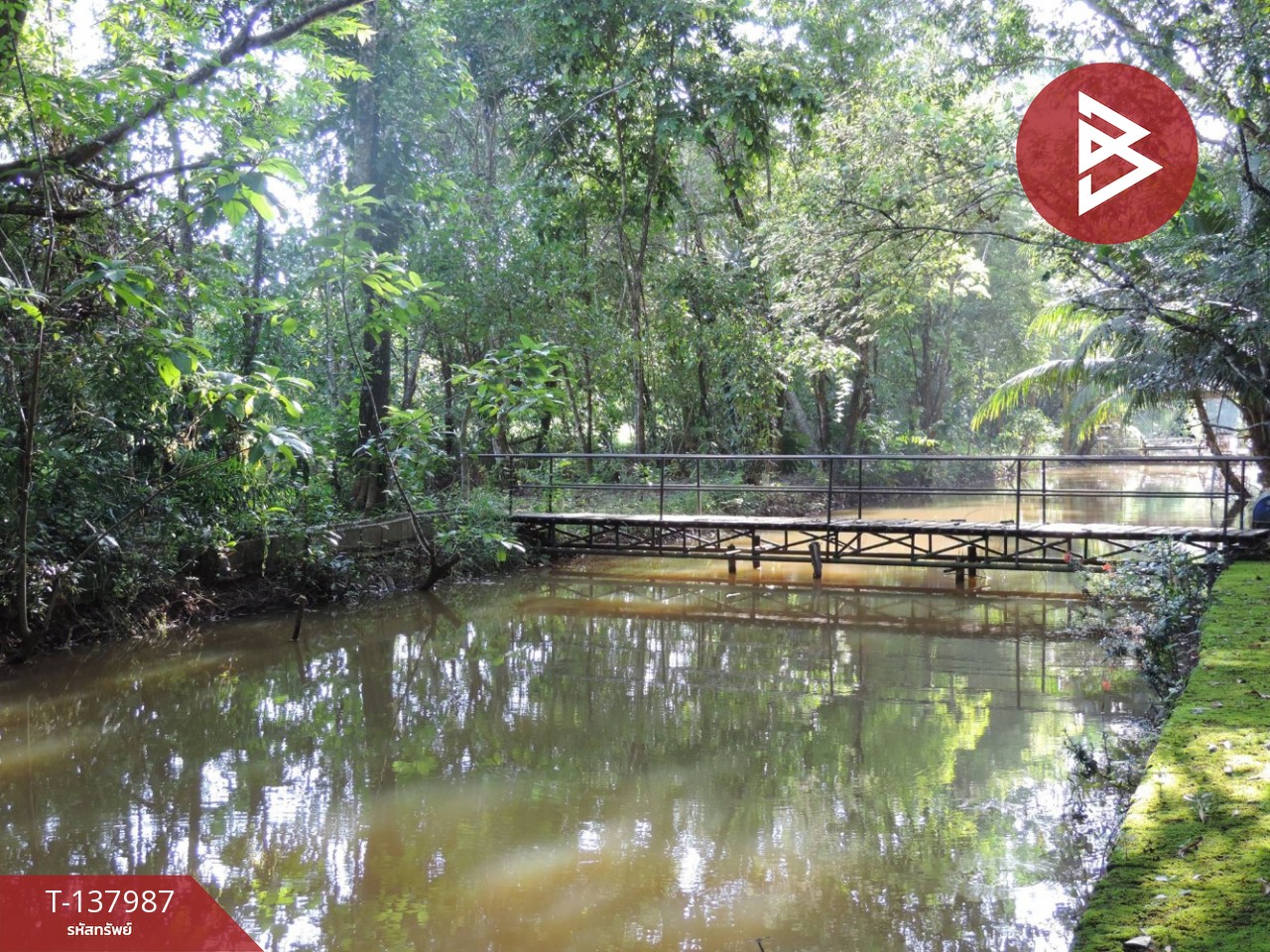 ขายที่ดินสวนผลไม้ พร้อมบ้านพัก 7 หลัง เนื้อที่ 20 ไร่ 1 งาน 50.6 ตารางวา ท่าใหม่ จันทบุรี 7