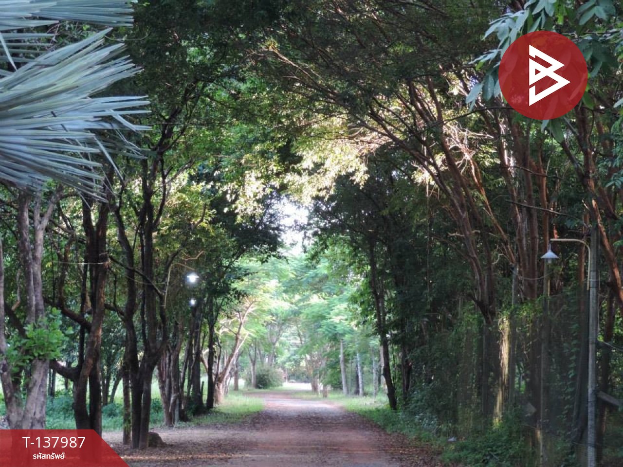 ขายที่ดินสวนผลไม้ พร้อมบ้านพัก 7 หลัง เนื้อที่ 20 ไร่ 1 งาน 50.6 ตารางวา ท่าใหม่ จันทบุรี 6