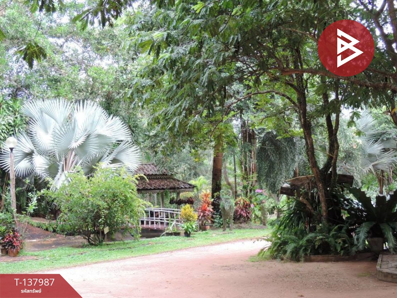 ขายที่ดินสวนผลไม้ พร้อมบ้านพัก 7 หลัง เนื้อที่ 20 ไร่ 1 งาน 50.6 ตารางวา ท่าใหม่ จันทบุรี 4