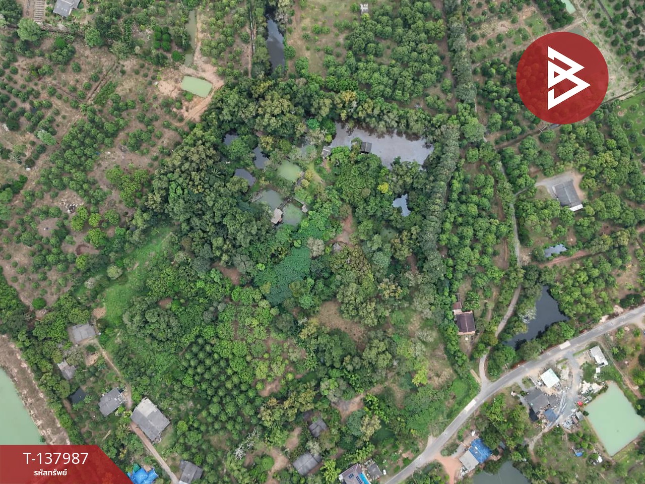 ขายที่ดินสวนผลไม้ พร้อมบ้านพัก 7 หลัง เนื้อที่ 20 ไร่ 1 งาน 50.6 ตารางวา ท่าใหม่ จันทบุรี 3