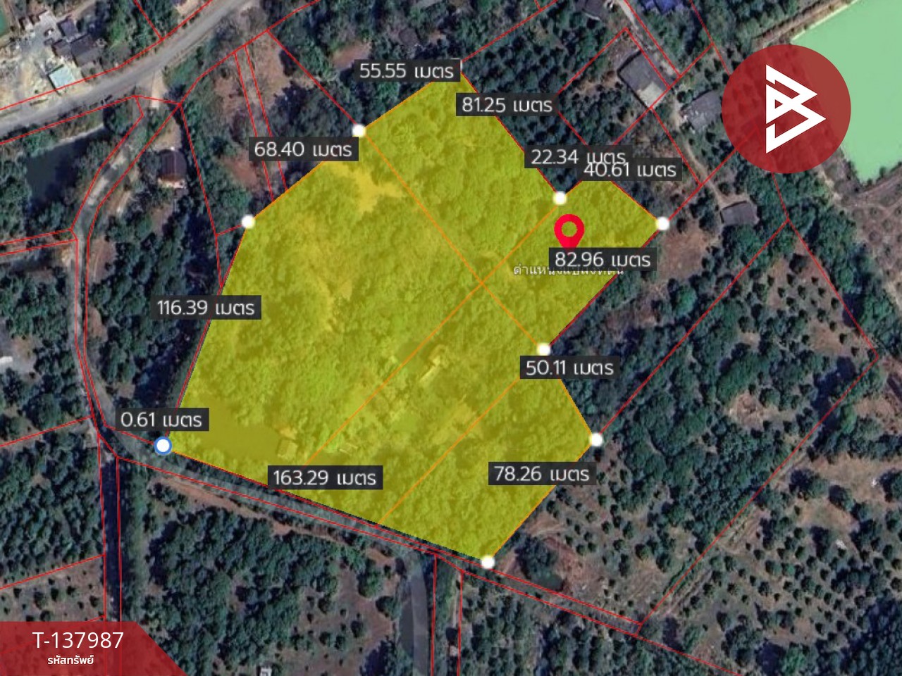 ขายที่ดินสวนผลไม้ พร้อมบ้านพัก 7 หลัง เนื้อที่ 20 ไร่ 1 งาน 50.6 ตารางวา ท่าใหม่ จันทบุรี 1