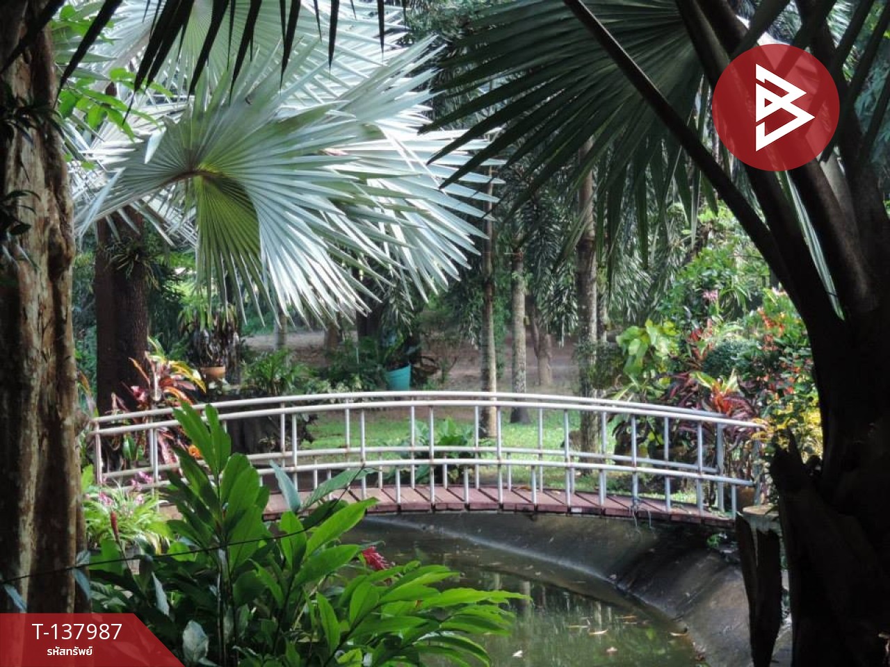 ขายที่ดินสวนผลไม้ พร้อมบ้านพัก 7 หลัง เนื้อที่ 20 ไร่ 1 งาน 50.6 ตารางวา ท่าใหม่ จันทบุรี 5