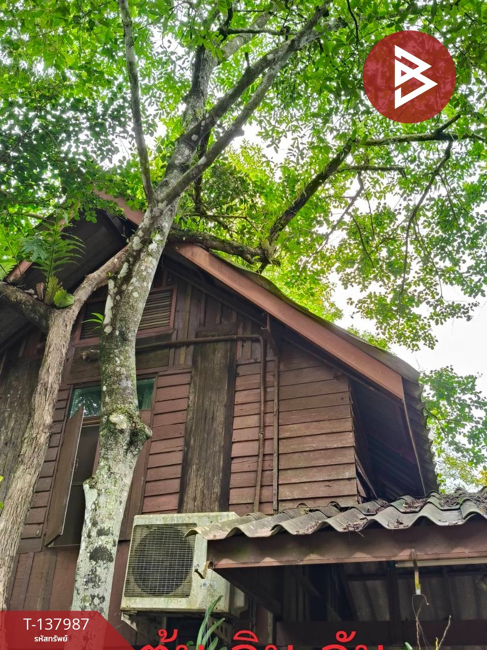 ขายที่ดินสวนผลไม้ พร้อมบ้านพัก 7 หลัง เนื้อที่ 20 ไร่ 1 งาน 50.6 ตารางวา ท่าใหม่ จันทบุรี 14