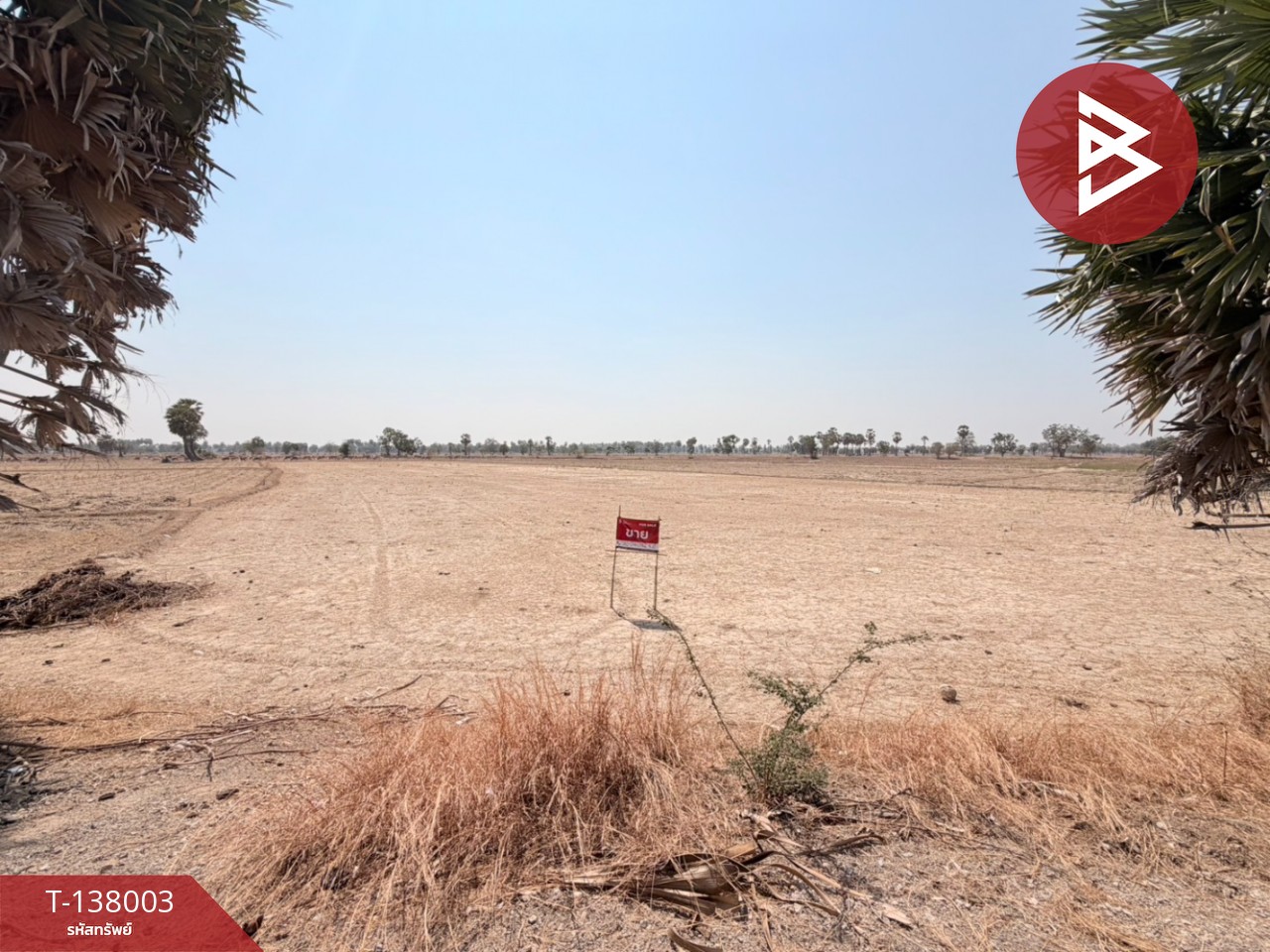 ขายที่ดิน เนื้อที่ 4 ไร่ 2 งาน 51.1 ตารางวา บ้านลาด เพชรบุรี 1