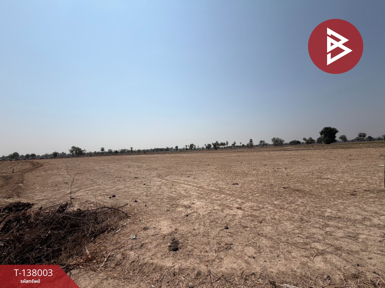 ขายที่ดิน เนื้อที่ 4 ไร่ 2 งาน 51.1 ตารางวา บ้านลาด เพชรบุรี 3