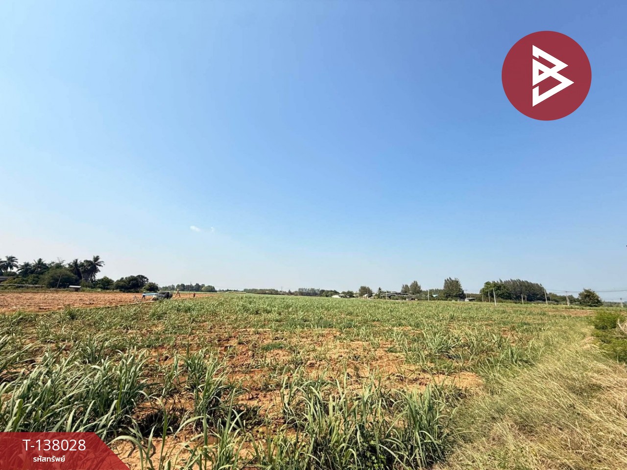 ขายที่ดิน เนื้อที่ 38 ไร่ 2 งาน 51.3 ตร.วา ท่ามะกา กาญจนบุรี 1