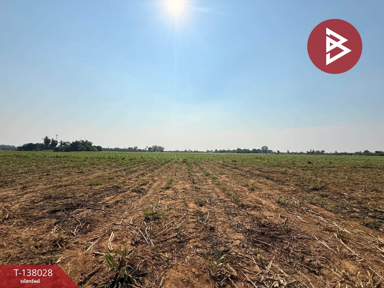 ขายที่ดิน เนื้อที่ 38 ไร่ 2 งาน 51.3 ตร.วา ท่ามะกา กาญจนบุรี 2