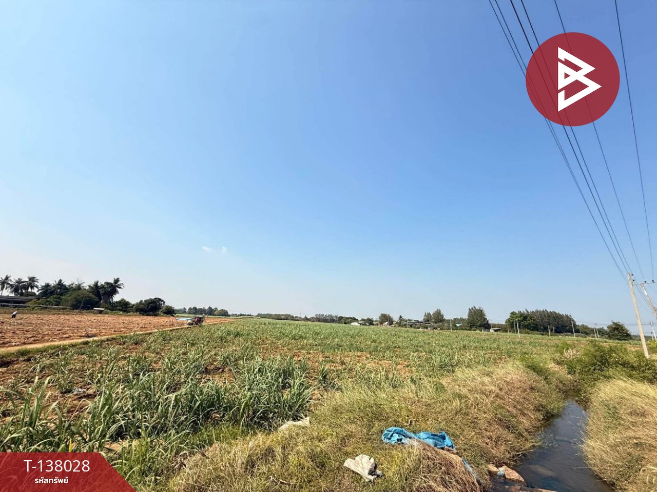 ขายที่ดิน เนื้อที่ 38 ไร่ 2 งาน 51.3 ตร.วา ท่ามะกา กาญจนบุรี 3