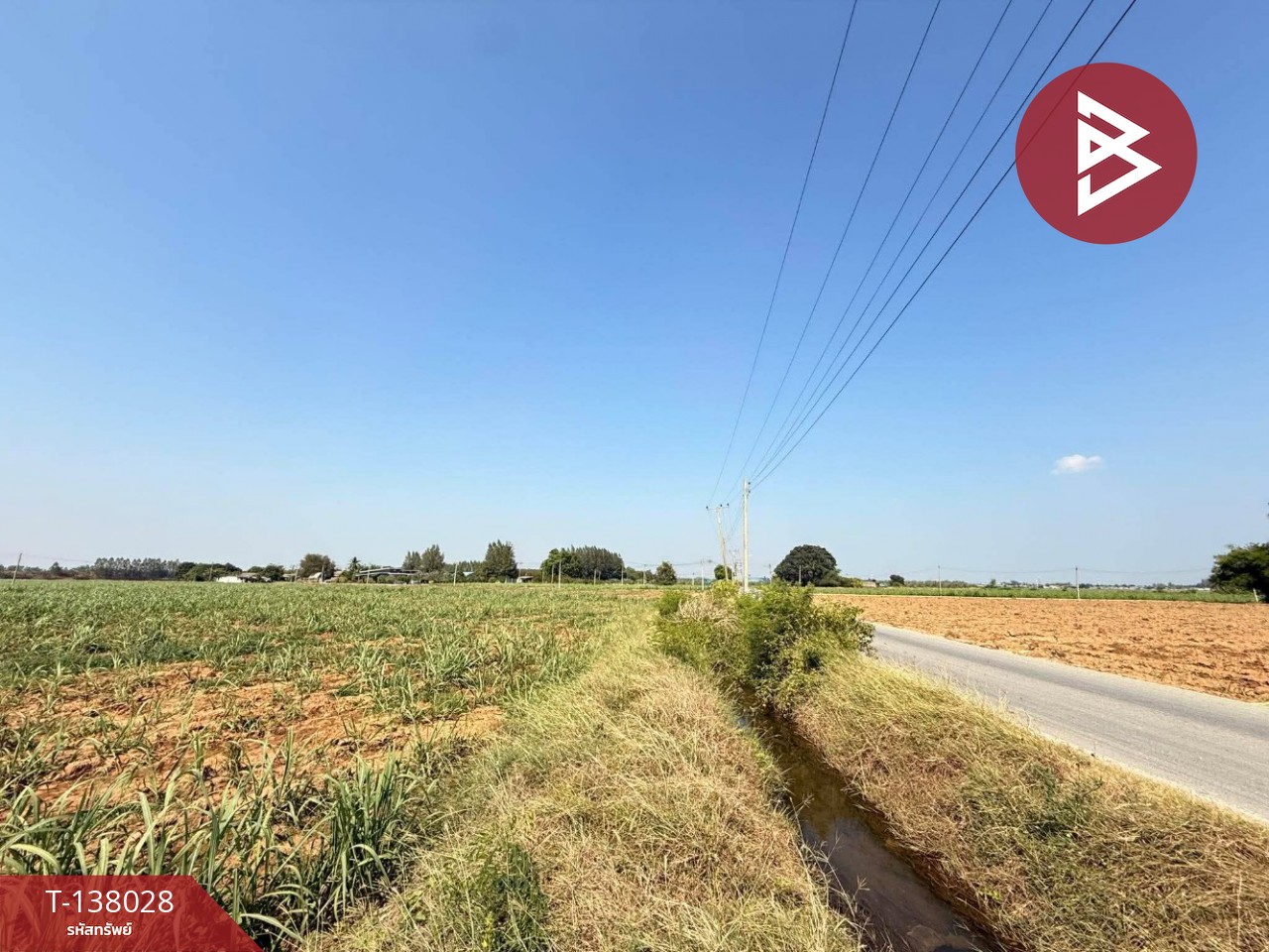 ขายที่ดิน เนื้อที่ 38 ไร่ 2 งาน 51.3 ตร.วา ท่ามะกา กาญจนบุรี 4