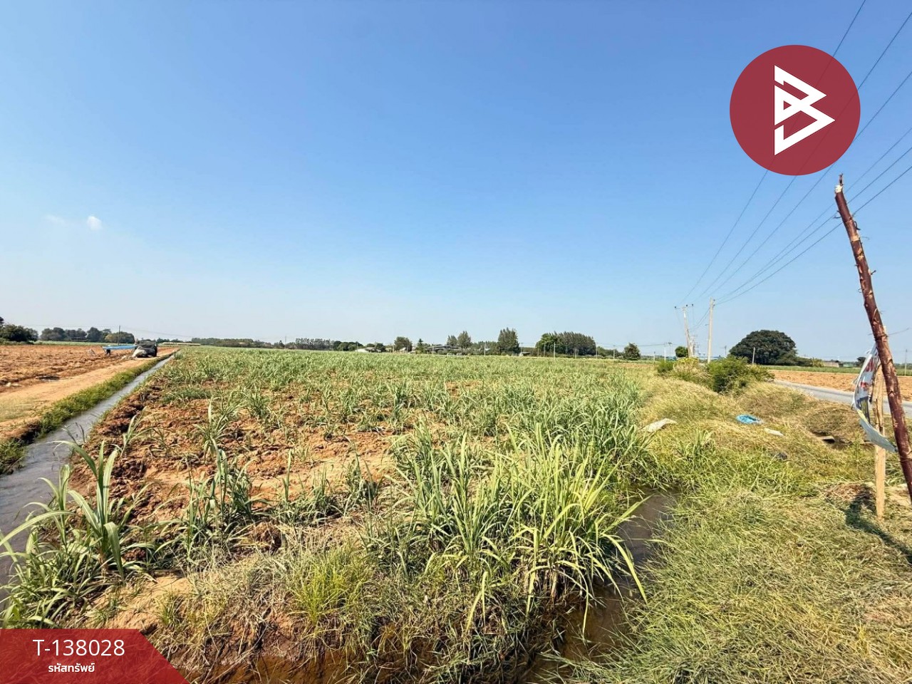 ขายที่ดิน เนื้อที่ 38 ไร่ 2 งาน 51.3 ตร.วา ท่ามะกา กาญจนบุรี 6