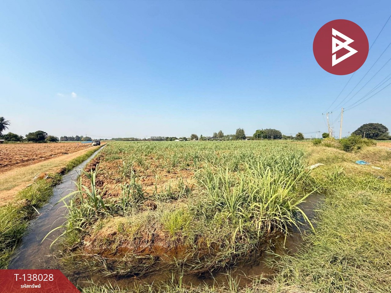 ขายที่ดิน เนื้อที่ 38 ไร่ 2 งาน 51.3 ตร.วา ท่ามะกา กาญจนบุรี 7