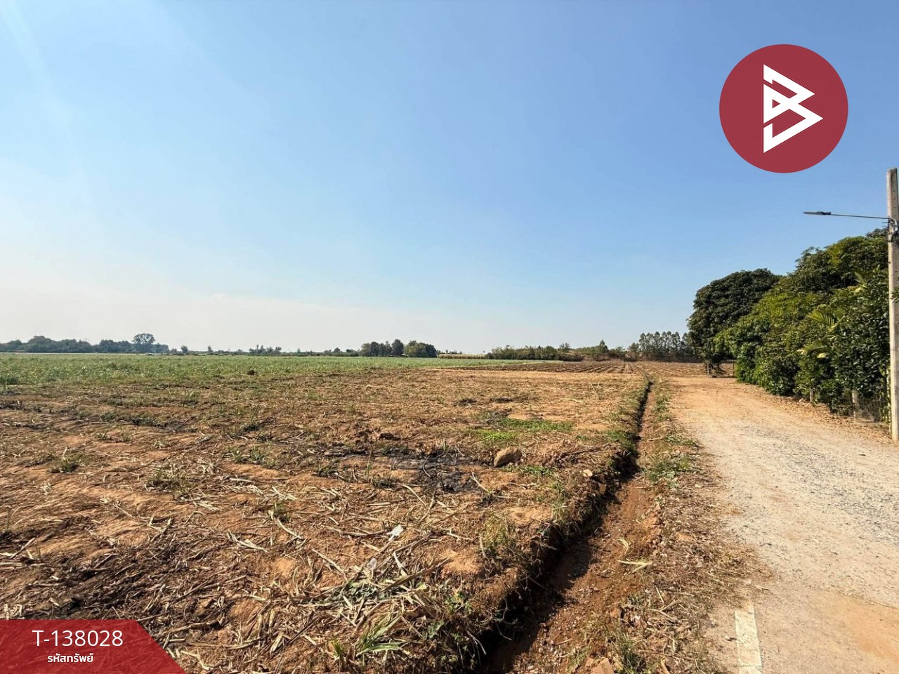 ขายที่ดิน เนื้อที่ 38 ไร่ 2 งาน 51.3 ตร.วา ท่ามะกา กาญจนบุรี 8