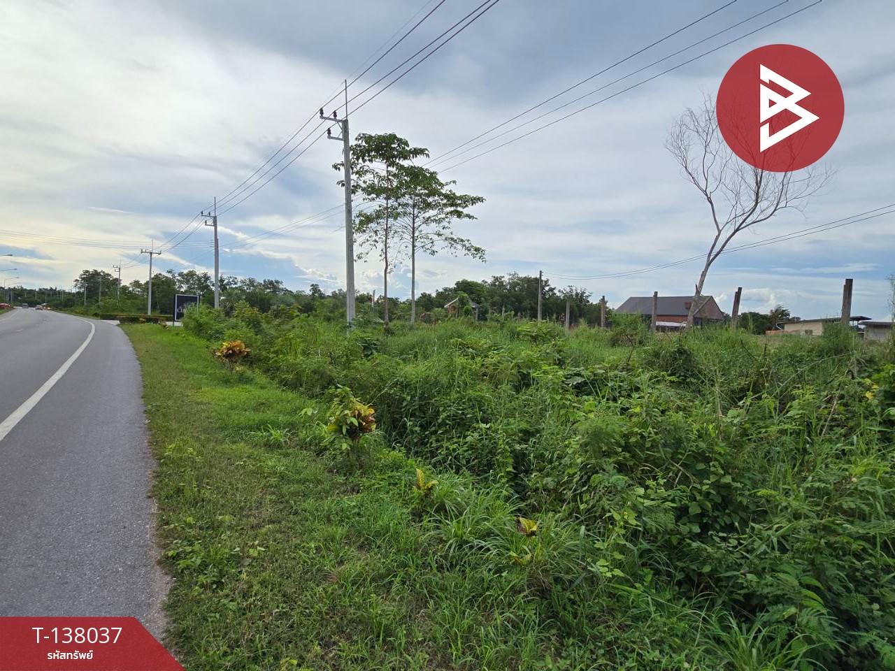 ขายที่ดิน เนื้อที่ 1 งาน 65.8 ตร.วา ท่าใหม่ จันทบุรี 3