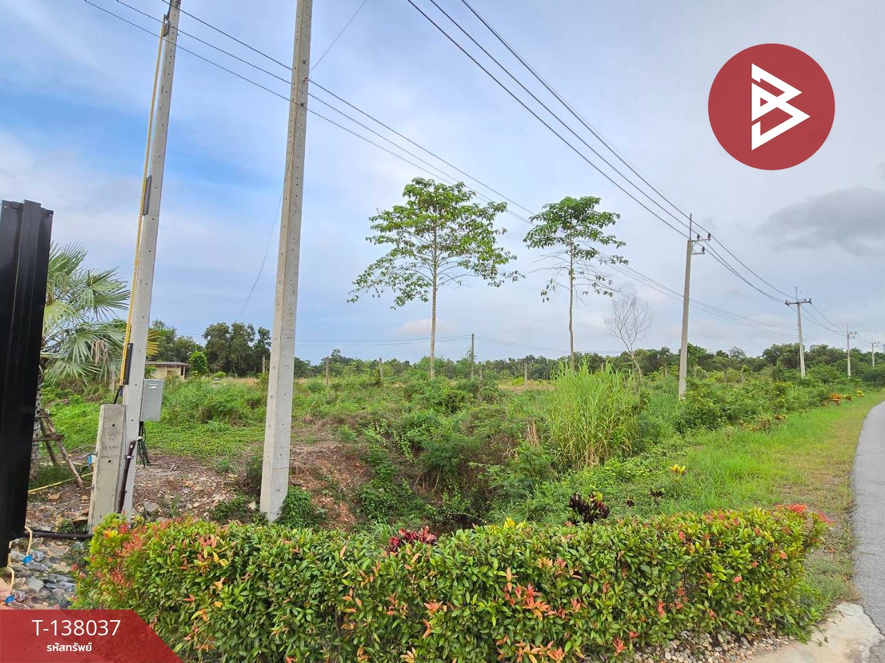 ขายที่ดิน เนื้อที่ 1 งาน 65.8 ตร.วา ท่าใหม่ จันทบุรี 5