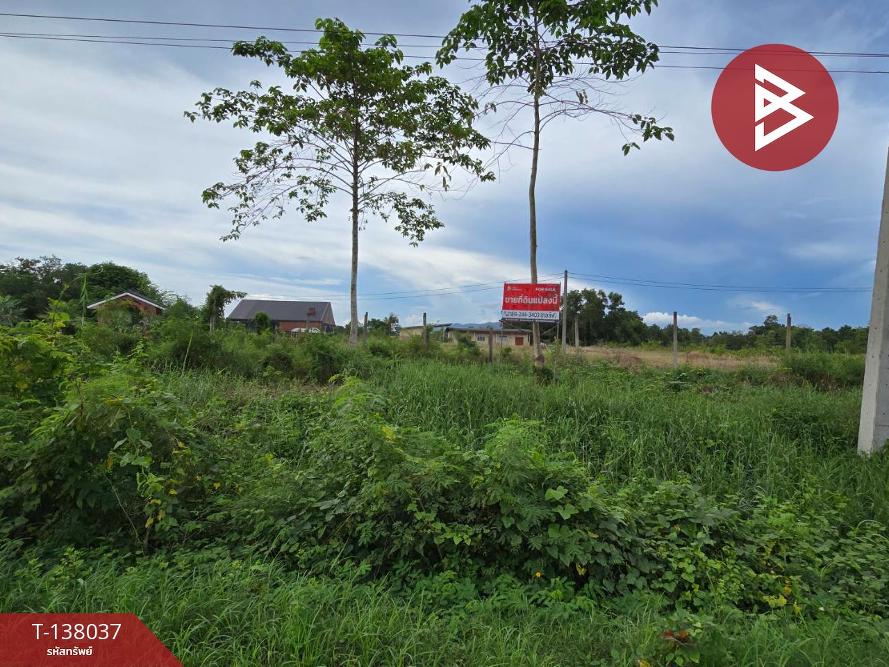 ขายที่ดิน เนื้อที่ 1 งาน 65.8 ตร.วา ท่าใหม่ จันทบุรี 1