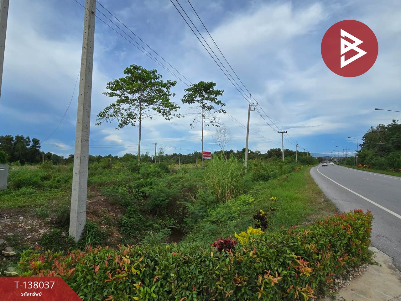 ขายที่ดิน เนื้อที่ 1 งาน 65.8 ตร.วา ท่าใหม่ จันทบุรี 4