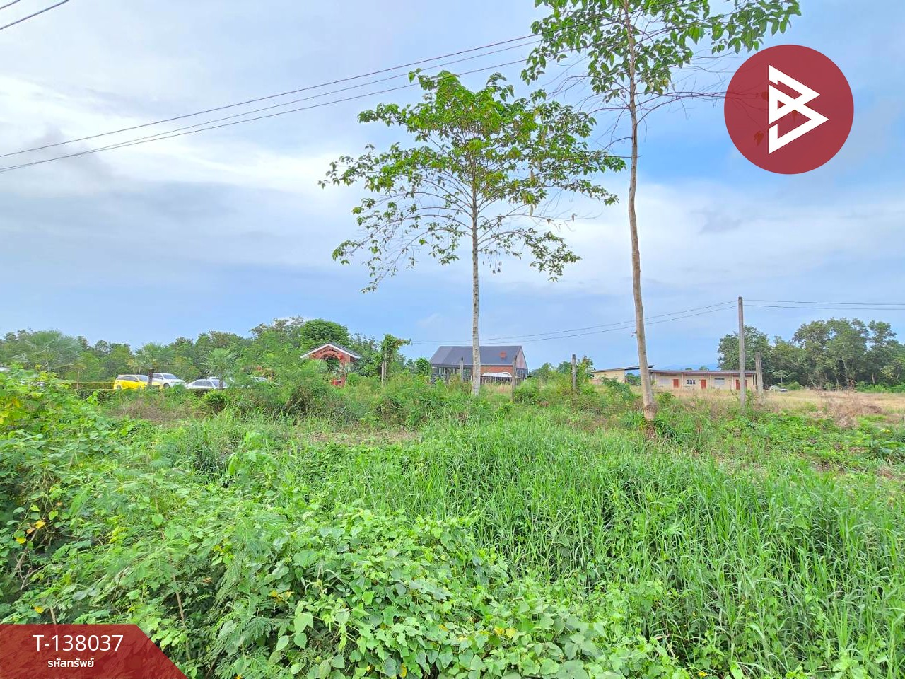 ขายที่ดิน เนื้อที่ 1 งาน 65.8 ตร.วา ท่าใหม่ จันทบุรี 7