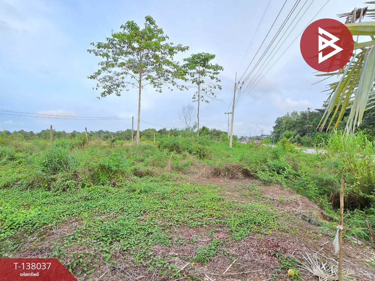 ขายที่ดิน เนื้อที่ 1 งาน 65.8 ตร.วา ท่าใหม่ จันทบุรี 9