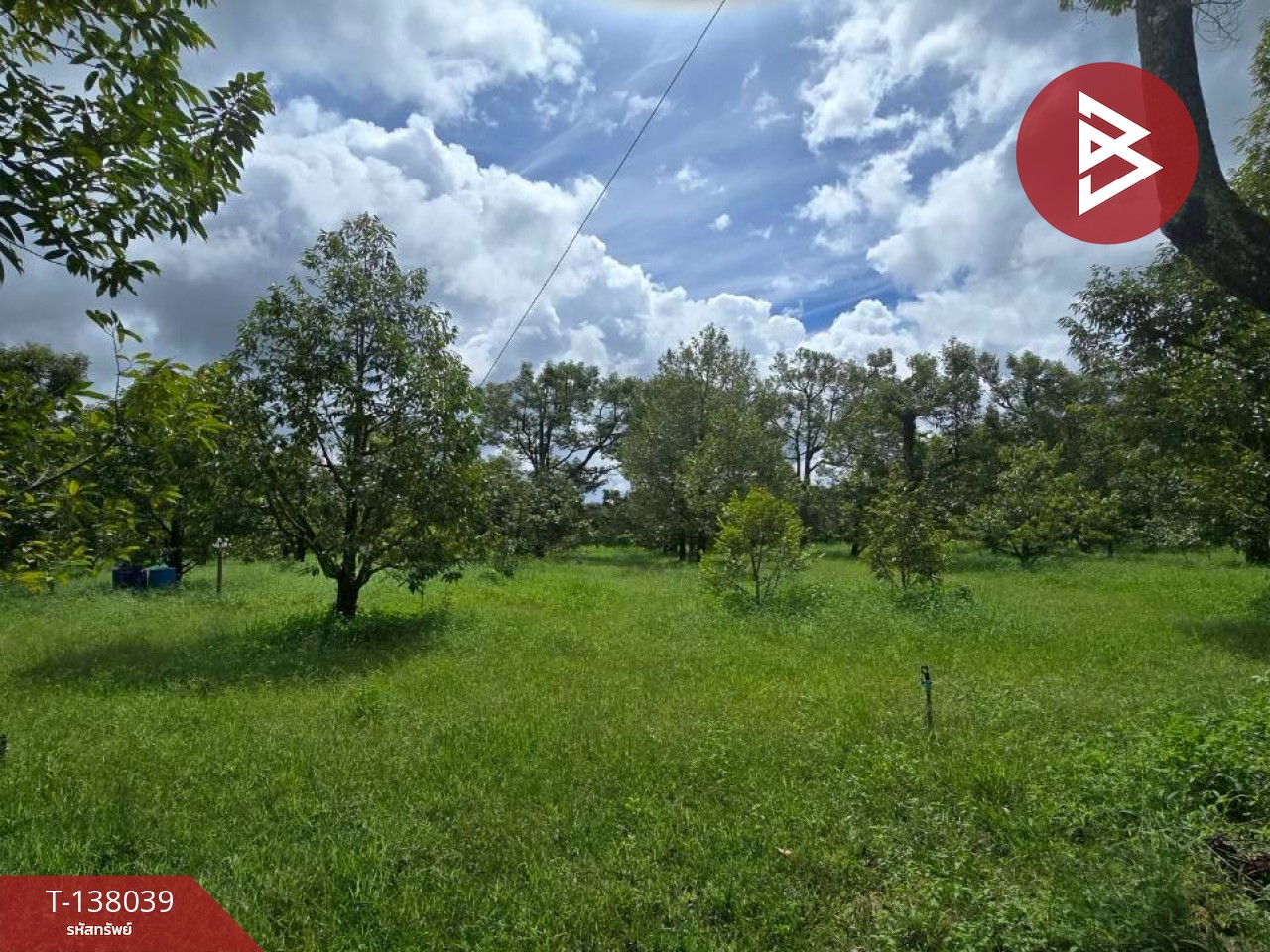 ขายที่ดินพร้อมสวน เนื้อที่ 5 ไร่ 2 งาน 91 ตร.วา ท่าใหม่ จันทบุรี 8