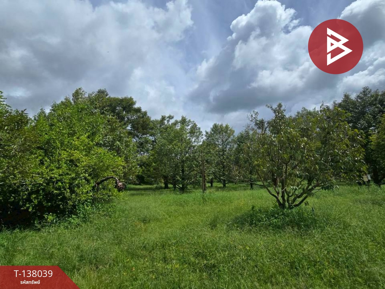 ขายที่ดินพร้อมสวน เนื้อที่ 5 ไร่ 2 งาน 91 ตร.วา ท่าใหม่ จันทบุรี 6