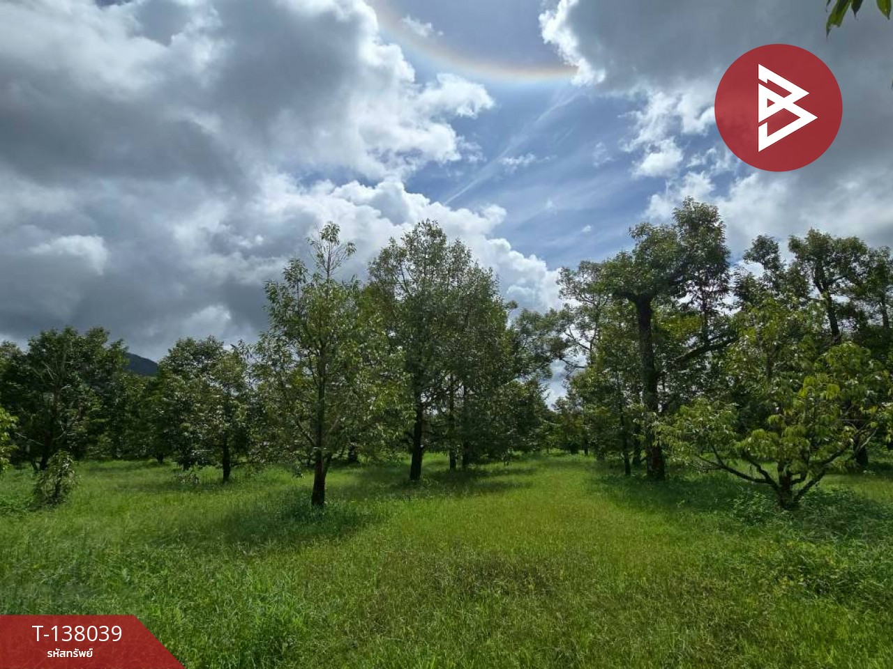 ขายที่ดินพร้อมสวน เนื้อที่ 5 ไร่ 2 งาน 91 ตร.วา ท่าใหม่ จันทบุรี 4