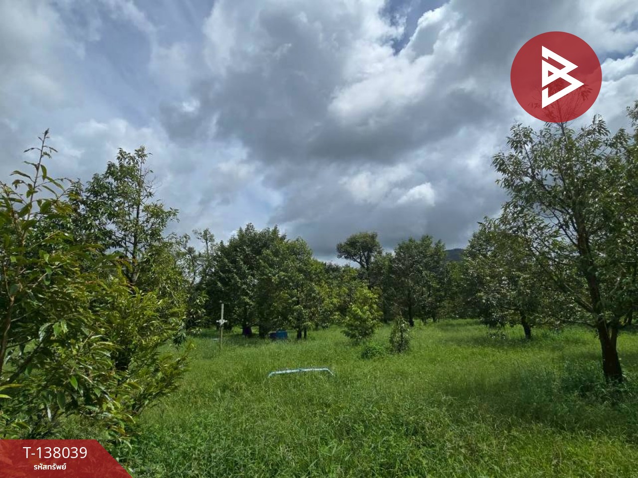 ขายที่ดินพร้อมสวน เนื้อที่ 5 ไร่ 2 งาน 91 ตร.วา ท่าใหม่ จันทบุรี 5