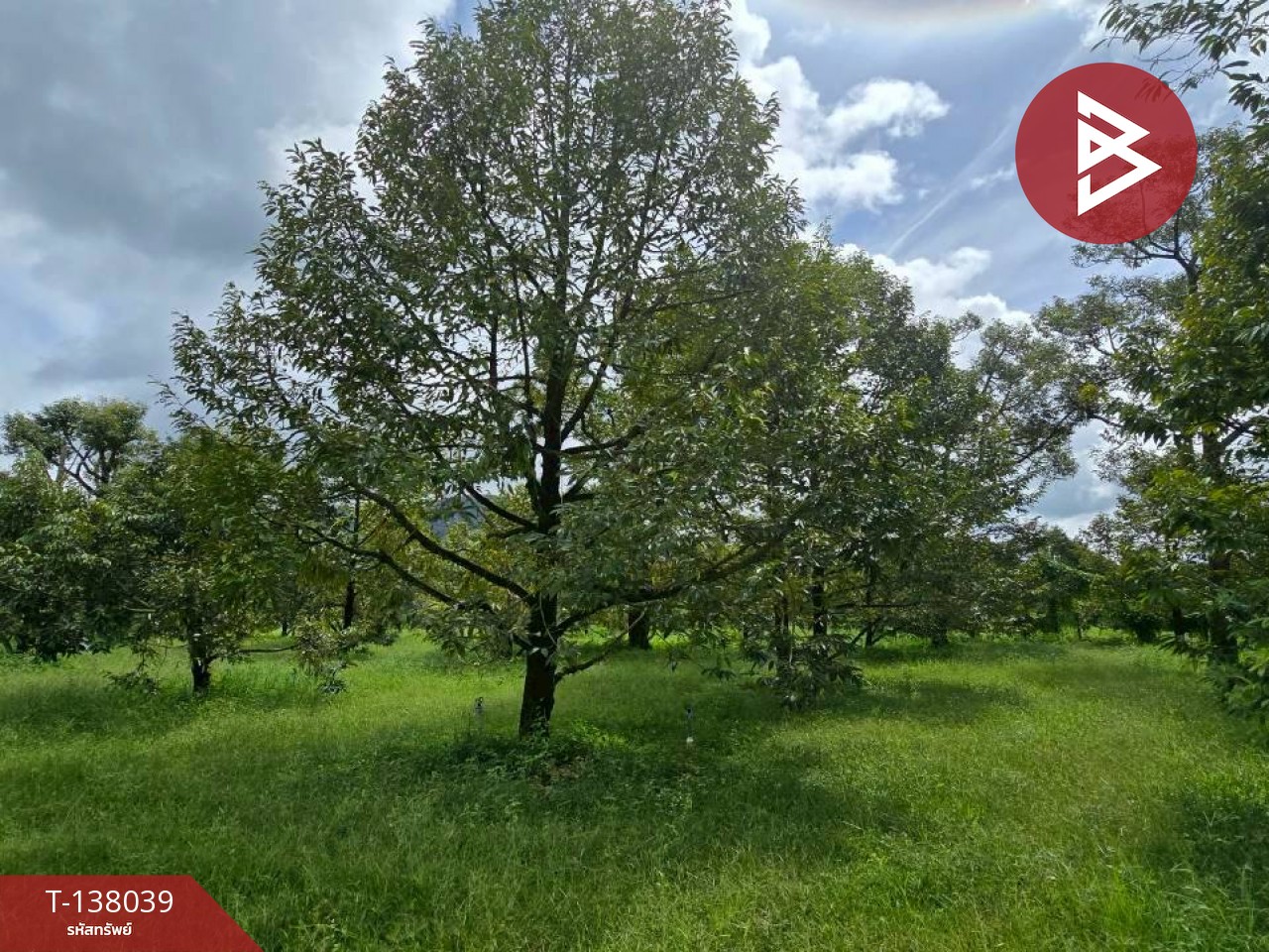 ขายที่ดินพร้อมสวน เนื้อที่ 5 ไร่ 2 งาน 91 ตร.วา ท่าใหม่ จันทบุรี 9