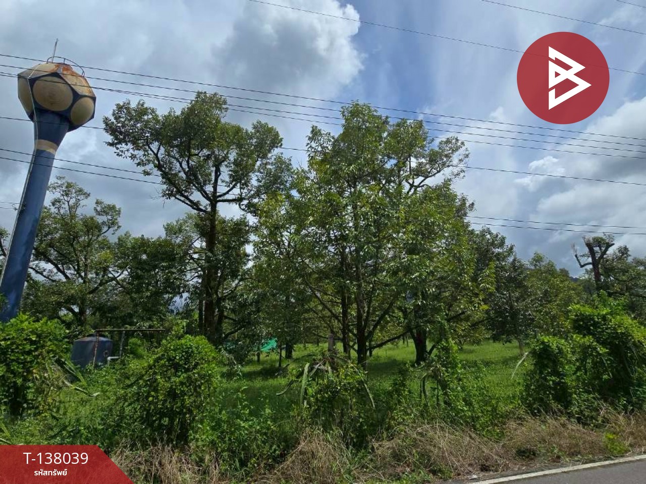 ขายที่ดินพร้อมสวน เนื้อที่ 5 ไร่ 2 งาน 91 ตร.วา ท่าใหม่ จันทบุรี 7